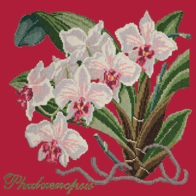 Phalaenopsis Needlepoint Kit Kits Elizabeth Bradley Design Bright Red