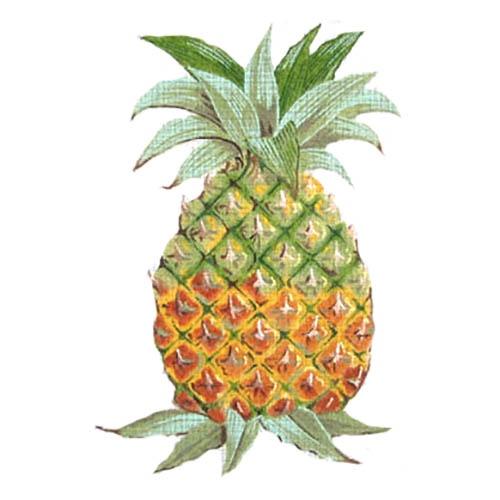 Pineapple Painted Canvas Labors of Love Needlepoint - 1