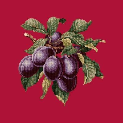 Plums Needlepoint Kit Kits Elizabeth Bradley Design Bright Red - 14
