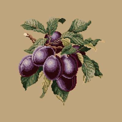Plums Needlepoint Kit Kits Elizabeth Bradley Design Sand - 18