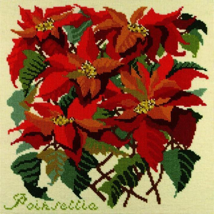 Poinsettia Needlepoint Kit Kits Elizabeth Bradley Design