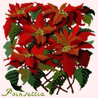 Poinsettia Needlepoint Kit Kits Elizabeth Bradley Design Cream