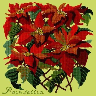 Poinsettia Needlepoint Kit Kits Elizabeth Bradley Design Pale Lime