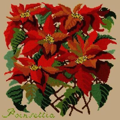 Poinsettia Needlepoint Kit Kits Elizabeth Bradley Design Sand