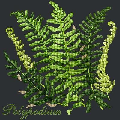 Polypodium Needlepoint Kit Kits Elizabeth Bradley Design Black 