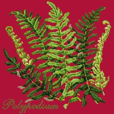 Polypodium Needlepoint Kit Kits Elizabeth Bradley Design Bright Red