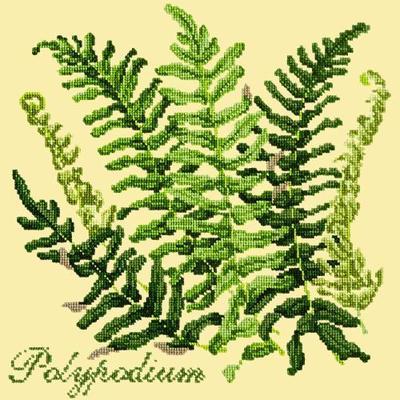 Polypodium Needlepoint Kit Kits Elizabeth Bradley Design Butter Yellow 