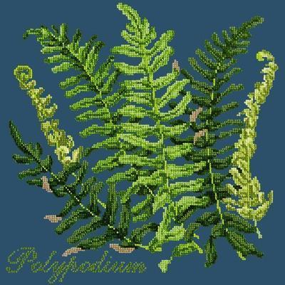 Polypodium Needlepoint Kit Kits Elizabeth Bradley Design Dark Blue 