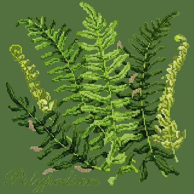 Polypodium Needlepoint Kit Kits Elizabeth Bradley Design Dark Green 