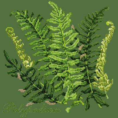 Polypodium Needlepoint Kit Kits Elizabeth Bradley Design Dark Green