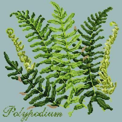 Polypodium Needlepoint Kit Kits Elizabeth Bradley Design Pale Blue 