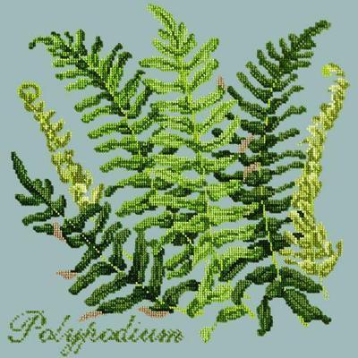 Polypodium Needlepoint Kit Kits Elizabeth Bradley Design Pale Blue