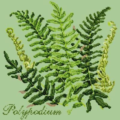 Polypodium Needlepoint Kit Kits Elizabeth Bradley Design Pale Green 