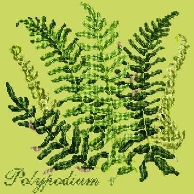 Polypodium Needlepoint Kit Kits Elizabeth Bradley Design Pale Lime 