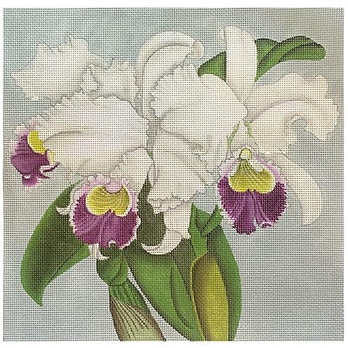 Purple & White Orchids Painted Canvas Melissa Shirley Designs - 1