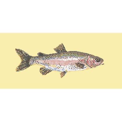 Rainbow Trout Needlepoint Kit Kits Elizabeth Bradley Design Butter Yellow 