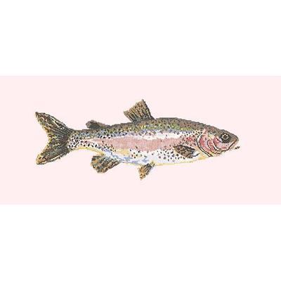 Rainbow Trout Needlepoint Kit Kits Elizabeth Bradley Design Cream 