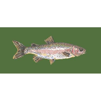 Rainbow Trout Needlepoint Kit Kits Elizabeth Bradley Design Dark Green 