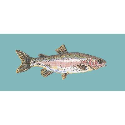 Rainbow Trout Needlepoint Kit Kits Elizabeth Bradley Design Duck Egg Blue 