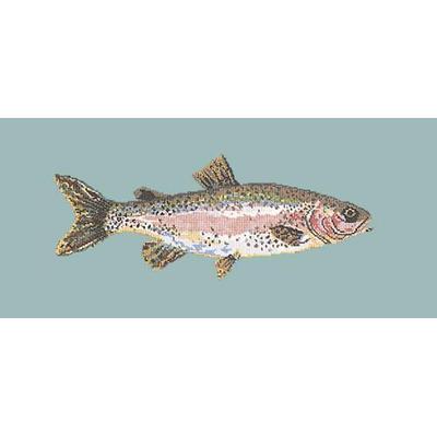 Rainbow Trout Needlepoint Kit Kits Elizabeth Bradley Design Pale Blue 