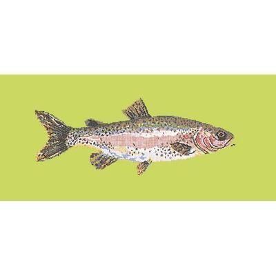 Rainbow Trout Needlepoint Kit Kits Elizabeth Bradley Design Pale Lime 