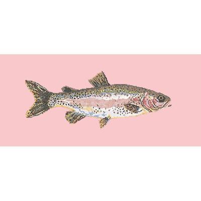 Rainbow Trout Needlepoint Kit Kits Elizabeth Bradley Design Pale Rose 