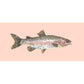 Rainbow Trout Needlepoint Kit Kits Elizabeth Bradley Design Salmon Pink 