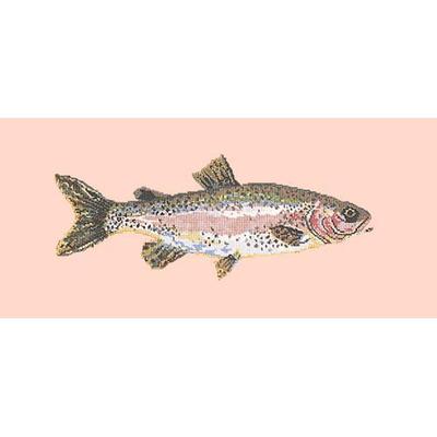 Rainbow Trout Needlepoint Kit Kits Elizabeth Bradley Design Salmon Pink 