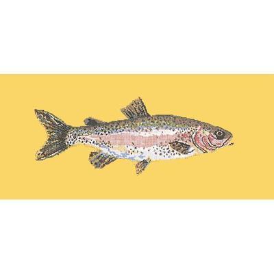 Rainbow Trout Needlepoint Kit Kits Elizabeth Bradley Design Sunflower Yellow 