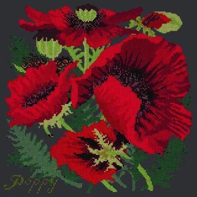 Red Poppy Needlepoint Kit Kits Elizabeth Bradley Design Black