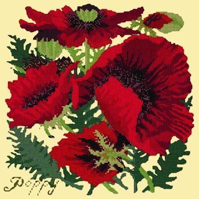 Red Poppy Needlepoint Kit Kits Elizabeth Bradley Design Butter Yellow