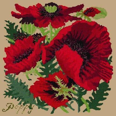 Red Poppy Needlepoint Kit Kits Elizabeth Bradley Design Sand