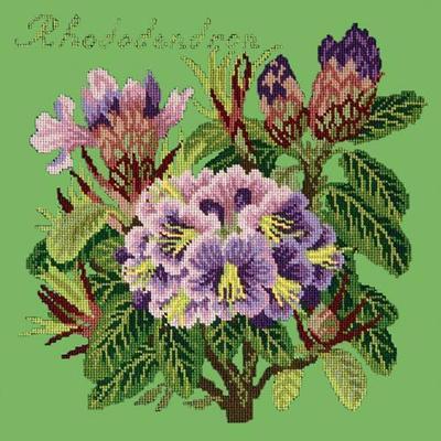 Rhododendron Needlepoint Kit Kits Elizabeth Bradley Design Grass Green