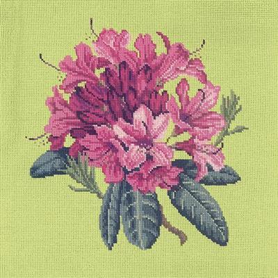 Rhododendron Needlepoint Kit Kits Elizabeth Bradley Design Pale Lime 