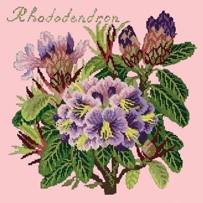 Rhododendron Needlepoint Kit Kits Elizabeth Bradley Design Pale Rose