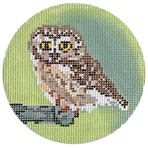 Rocky the Saw Whet Owl Painted Canvas Blue Ridge Stitchery