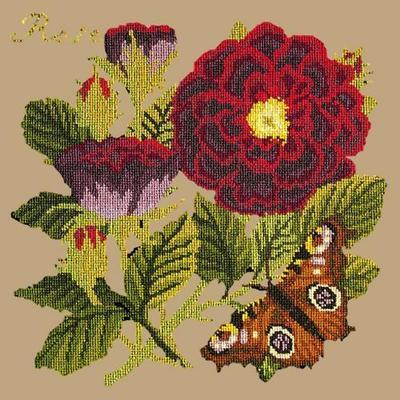 Rose Needlepoint Kit Kits Elizabeth Bradley Design Sand - 18