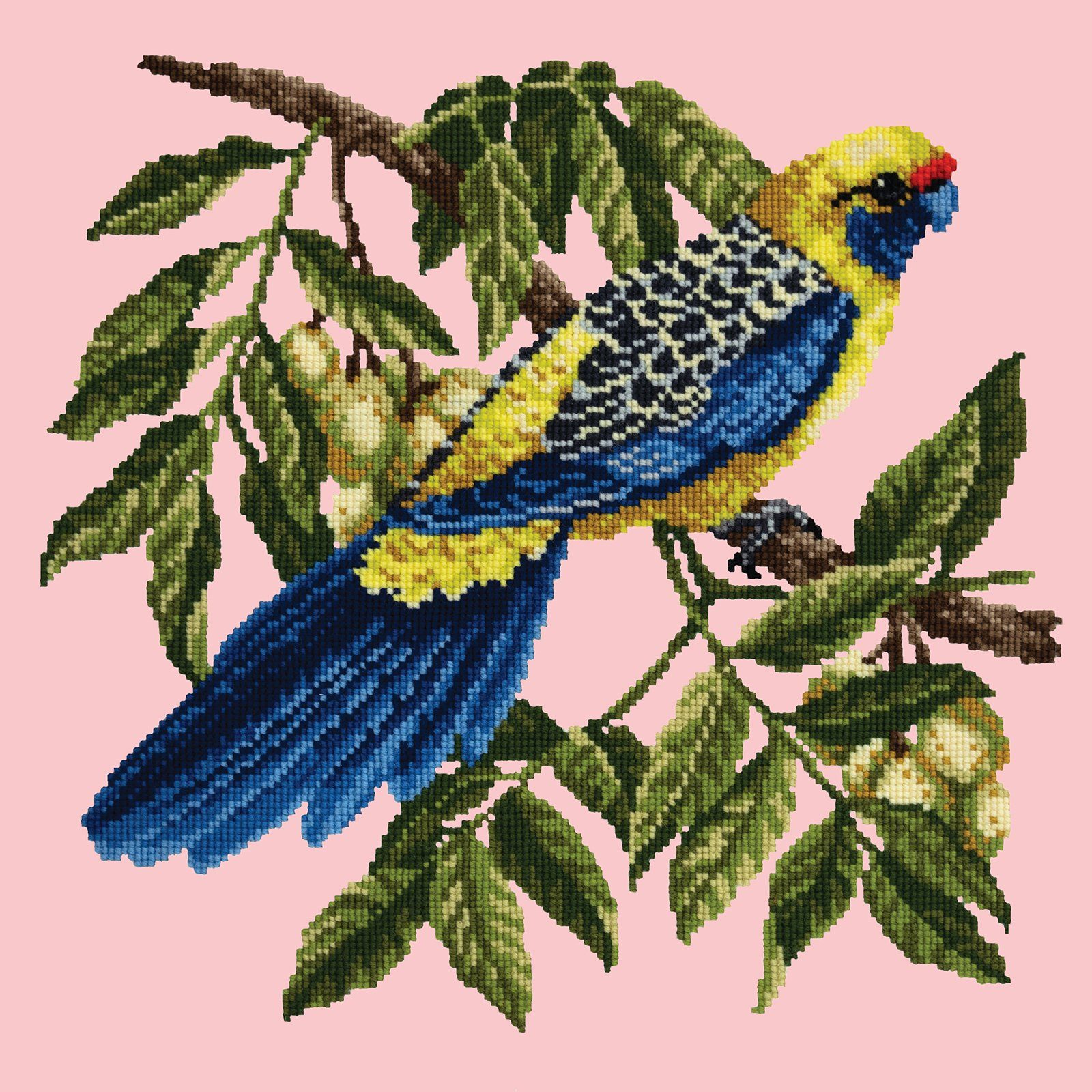 Rosella Needlepoint Kit Kits Elizabeth Bradley Design