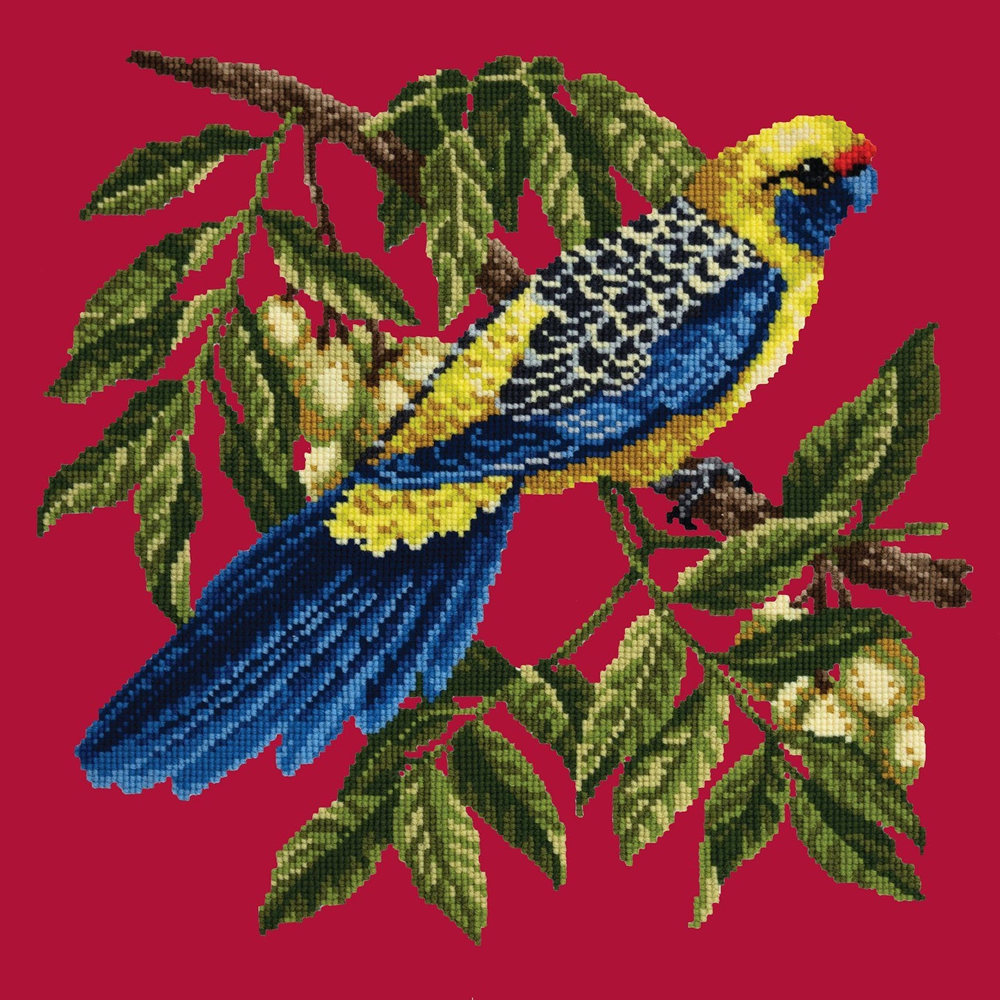 Rosella Needlepoint Kit Kits Elizabeth Bradley Design 