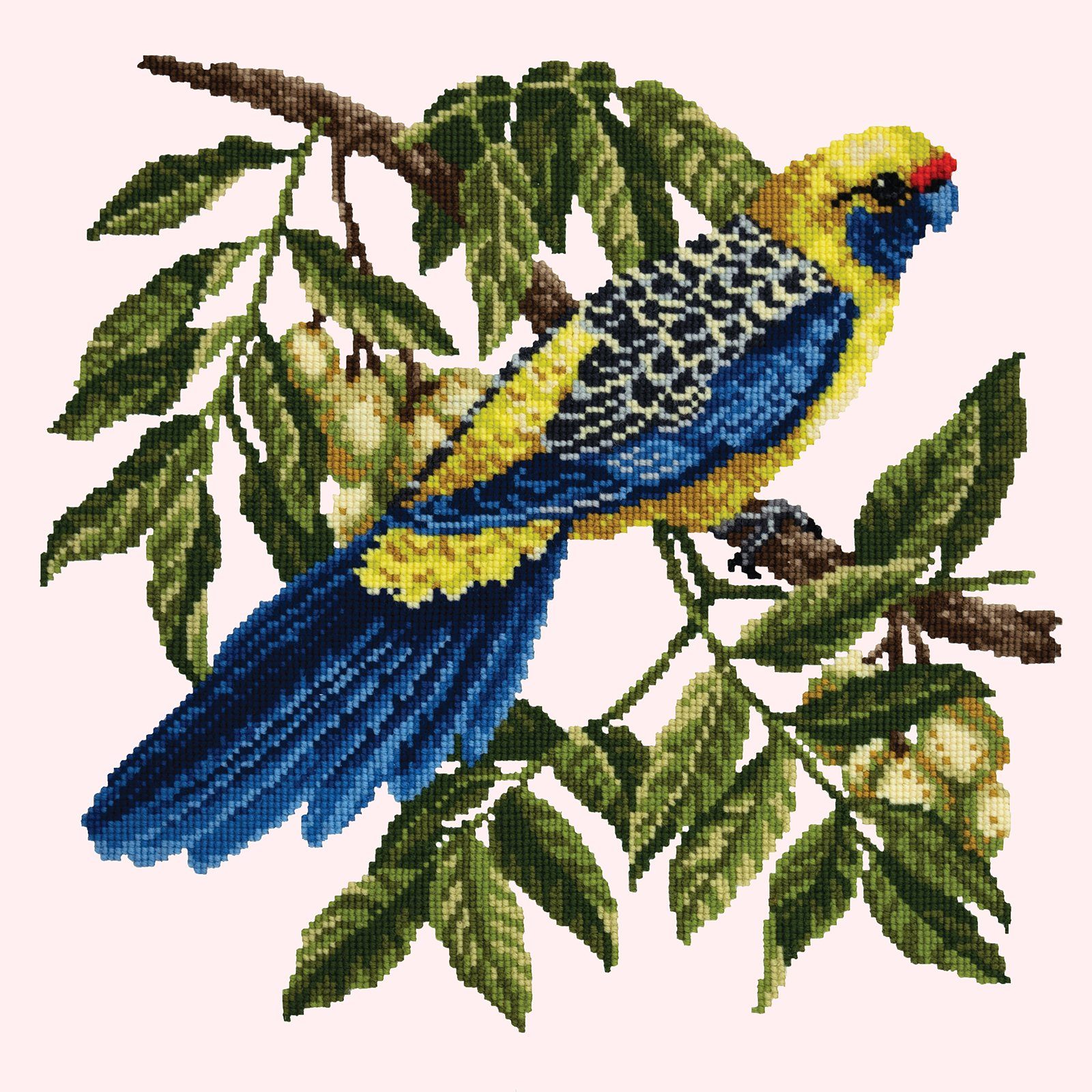 Rosella Needlepoint Kit Kits Elizabeth Bradley Design