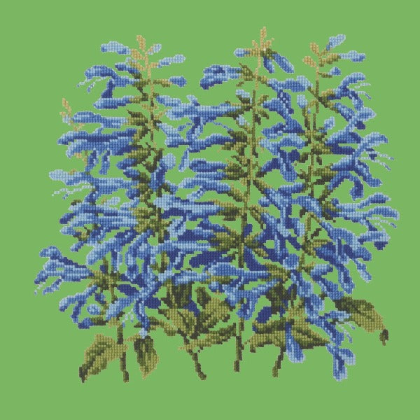 Salvia Kits Elizabeth Bradley Design Grass Green