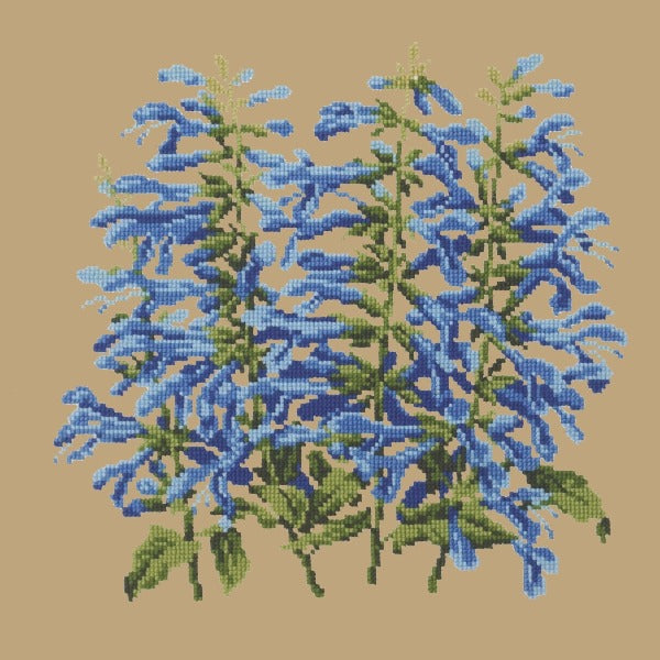 Salvia Kits Elizabeth Bradley Design Sand