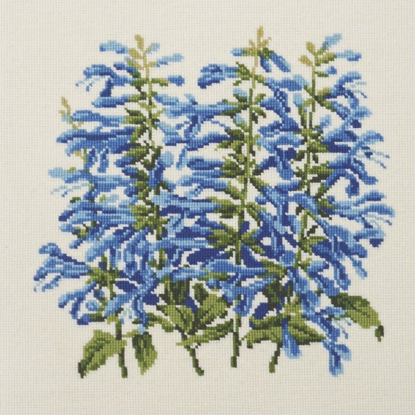 Salvia Kits Elizabeth Bradley Design Winter White