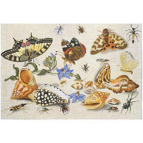Shells and Insects Painted Canvas Melissa Shirley Designs - 1