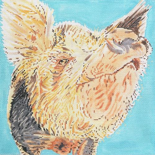Snooty Pig Painted Canvas The Meredith Collection - 1