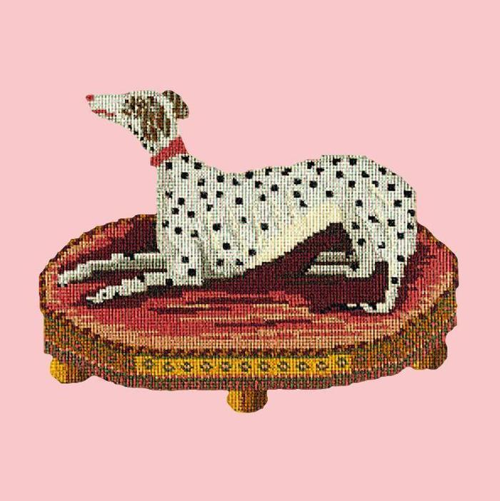 Spotted Dog Needlepoint Kit Kits Elizabeth Bradley Design Pale Rose 