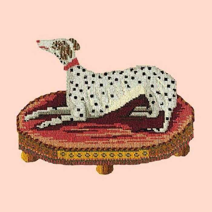 Spotted Dog Needlepoint Kit Kits Elizabeth Bradley Design Salmon Pink