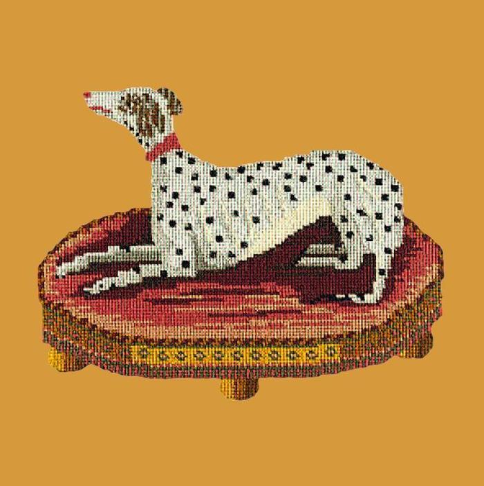 Spotted Dog Needlepoint Kit Kits Elizabeth Bradley Design Yellow 