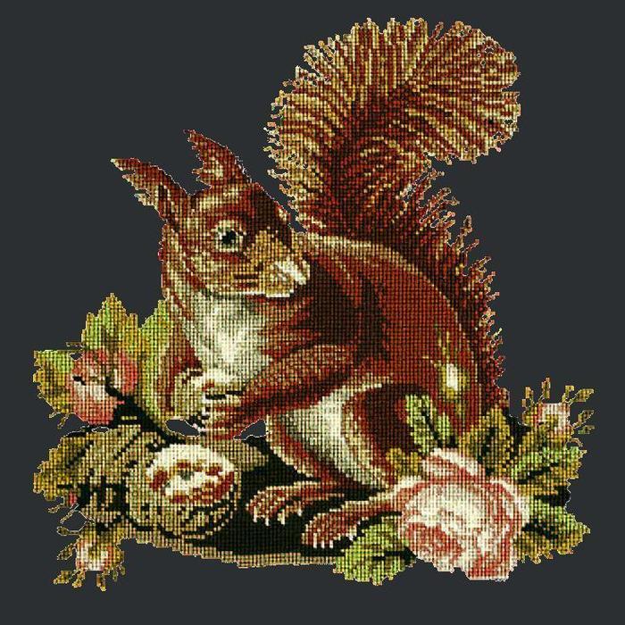 Squirrel Needlepoint Kit Kits Elizabeth Bradley Design Black 