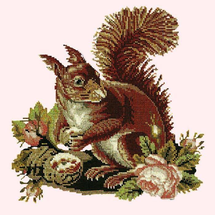 Squirrel Needlepoint Kit Kits Elizabeth Bradley Design Cream 